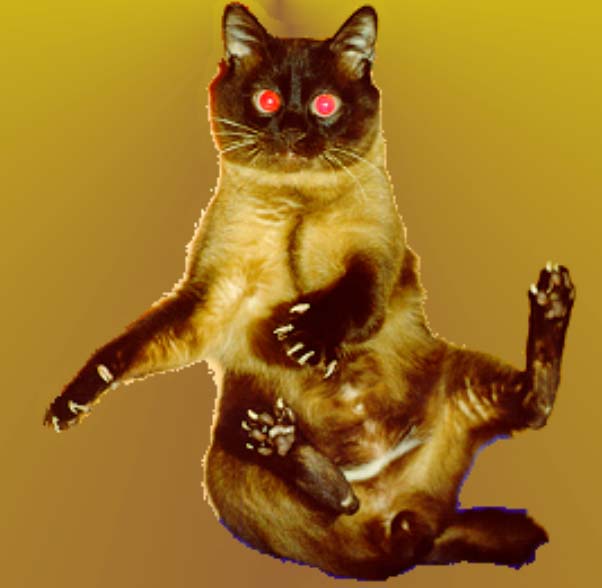 ��� � �������