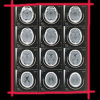 ��� ����� ������ �����